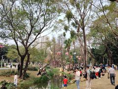 -人民公园(罗湖区)