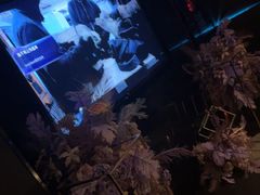 -黑桃K生日订制KTV