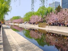 -元大都城垣遗址公园