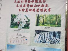 -王顺山国家森林公园