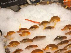 -领鲜活海鲜榴莲自助火锅(东门店)