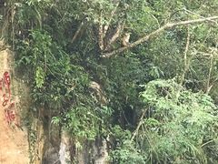 -狮子关旅游区