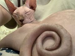-平行世界·猫咖(首经贸店)