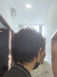 -YESIDO椰岛造型