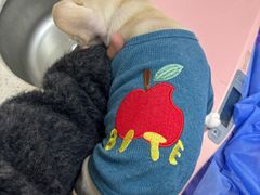 -美联众合动物医院·24h京西诊疗中心