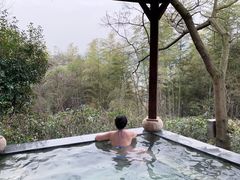 -天目湖涵田半山温泉