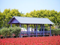 -广东花都香草世界旅游度假区