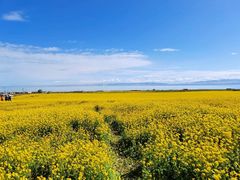 -青海湖国家重点风景名胜区