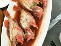 清蒸虎头鱼-宁海食府(总店·天一阁望京店)
