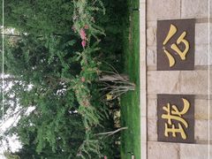 -玲珑塔公园