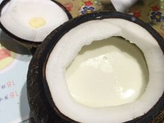 -志龙皇冠吃货椰子铺