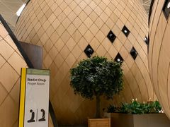 -盖达尔·阿利耶夫国际机场