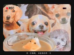 -Seesaw Coffee(上生新所店)