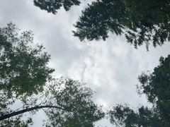 -缙云山景区