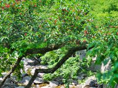 -崂山九水游览区