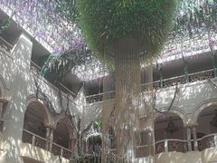 -深圳东部华侨城茵特拉根酒店