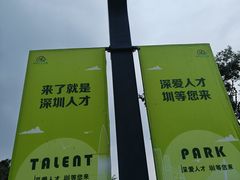-深圳人才公园