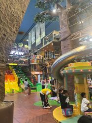 -卡通尼·Safari非洲探索乐园·生日会(金桥国际商业广场店)