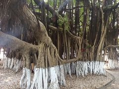 -胡里山炮台
