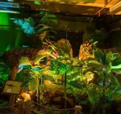 -恐龙探索乐园(磁器口店)