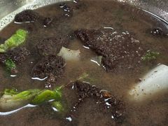 -鹏林天龙鸡杂