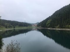 -武陵山森林公园