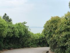 -雨花胜境
