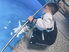 -泉城欧乐堡海洋极地世界