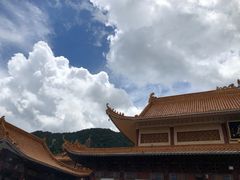 -深圳仙湖植物园-停车场