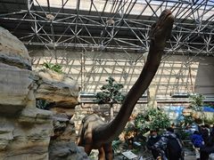 -国家自然博物馆