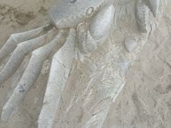 android_upload_pic-南沙天后宫景区