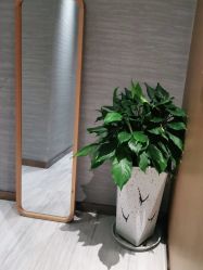 -苑苑vbeauty科技美容SPA