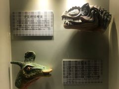 -世界恐龙谷景区