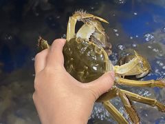 -阳澄湖大闸蟹·琼灵阁牌品牌连锁(吴中总店)