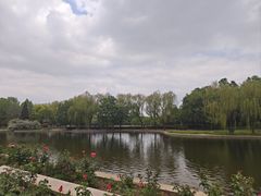 -泰丰公园