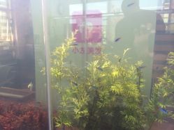 iphone_upload_pic-小左美发