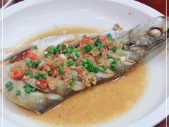-九月九传统美食