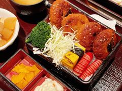 -dodonpa.墩墩伐 便当食堂(博华广场店)