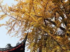 -古大圣慈寺
