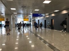 -圣保罗/瓜鲁柳斯-安德烈·弗朗哥·蒙托罗州长国际机场