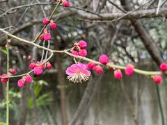 -木塔寺遗址生态公园