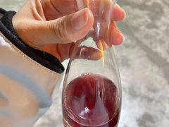 -果松木炭酸菜铜火锅·外婆参鸡汤