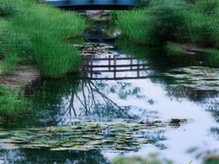 -上海植物园-4号门售票处