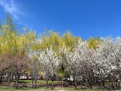 -长春公园(普阳街道)