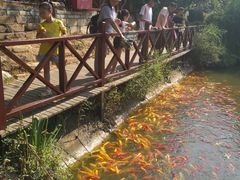 -武汉紫薇都市田园