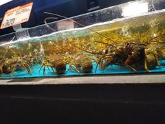 -徐记海鲜(大雁塔|金都店)
