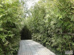 -凤城河风景区