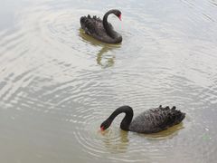 -泉州海丝野生动物世界