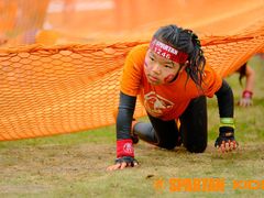 -春花秋色城市公园