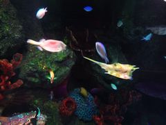 -沈阳海洋探索中心